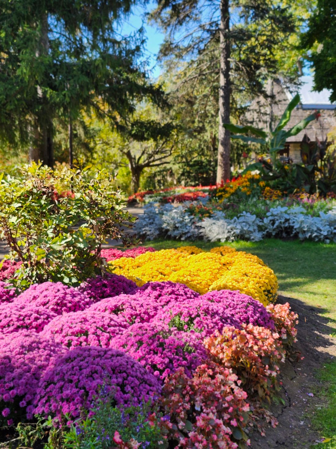 Vibrant color beds in full bloom